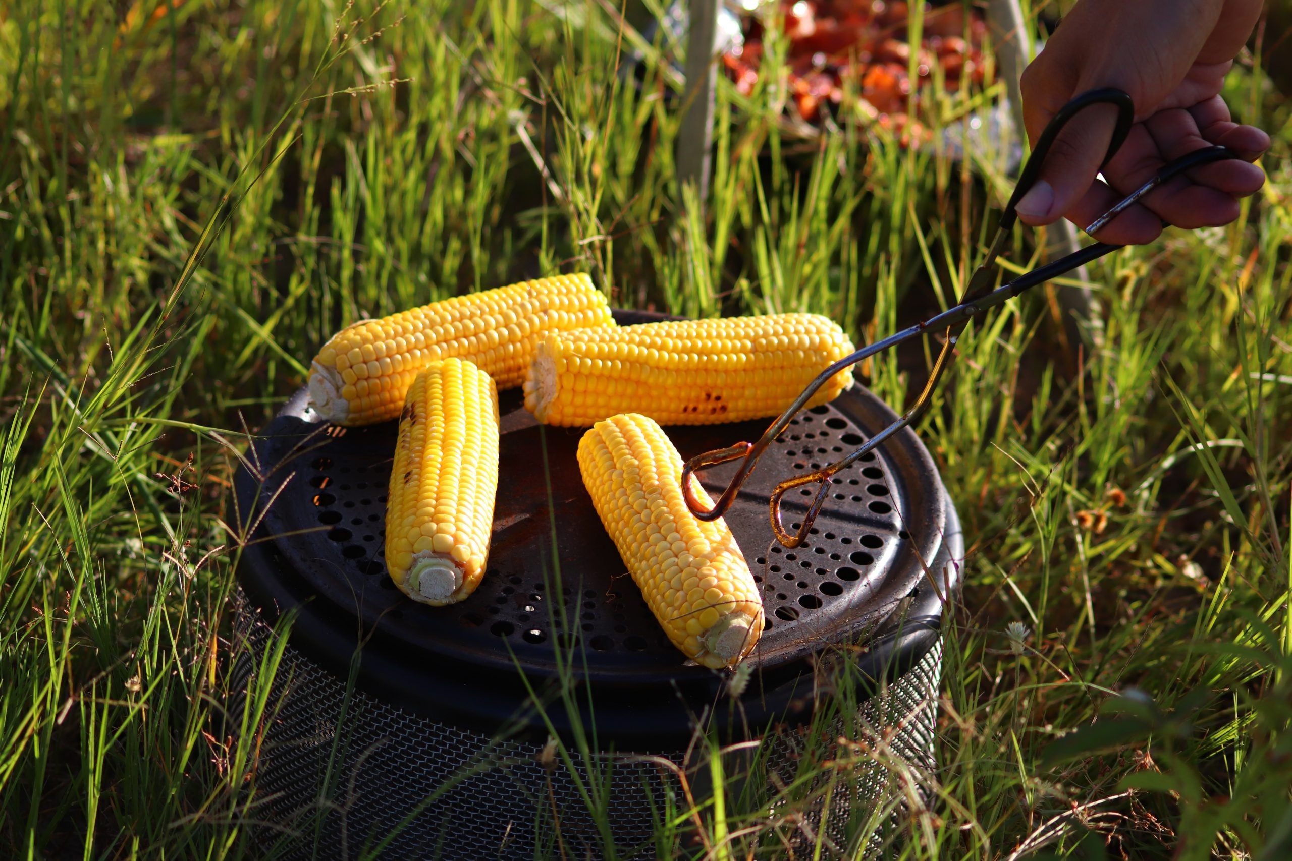 Seasonal Foods (And What To Do With Them): August