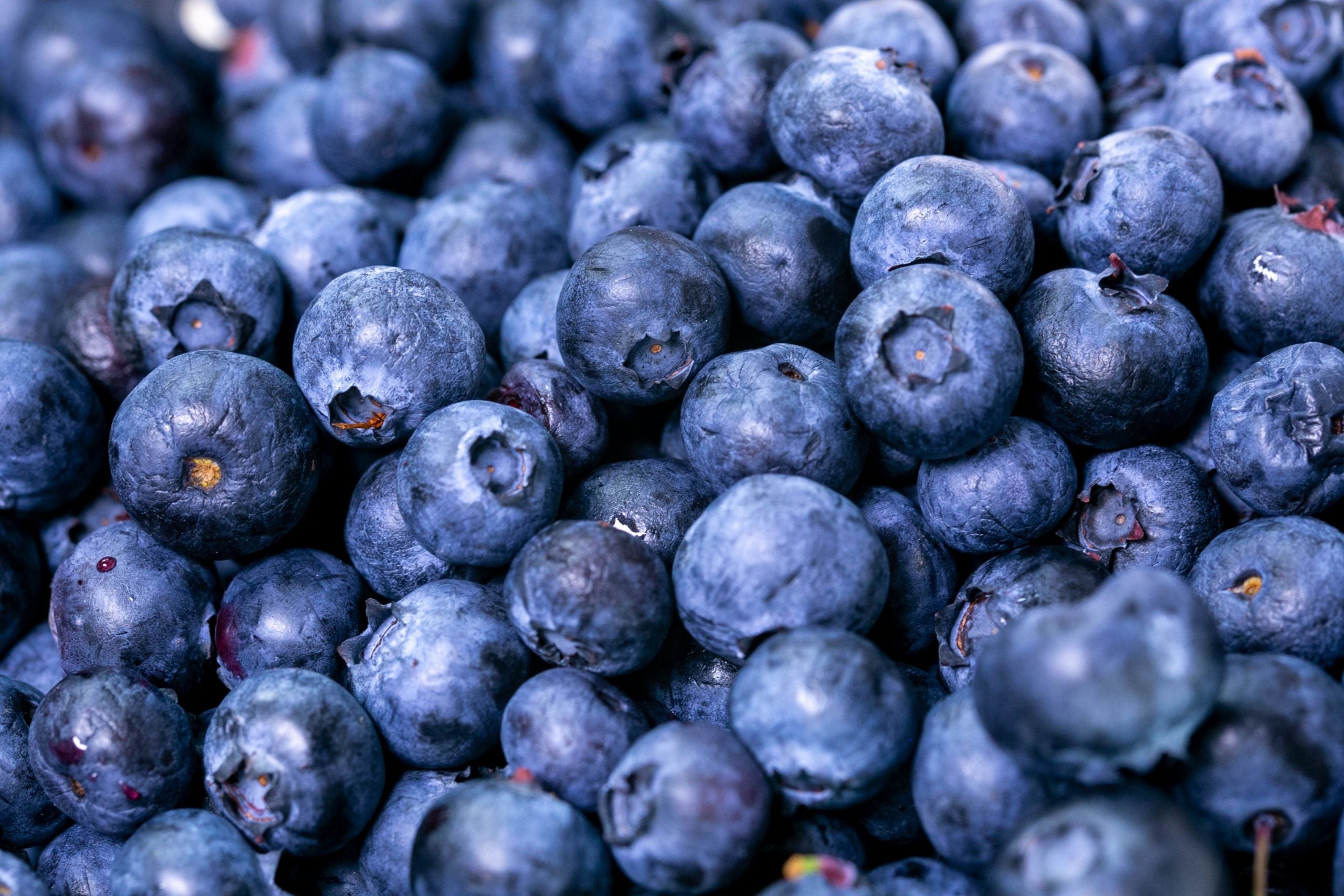 Seasonal Foods And What To Do With Them: July (Updated)