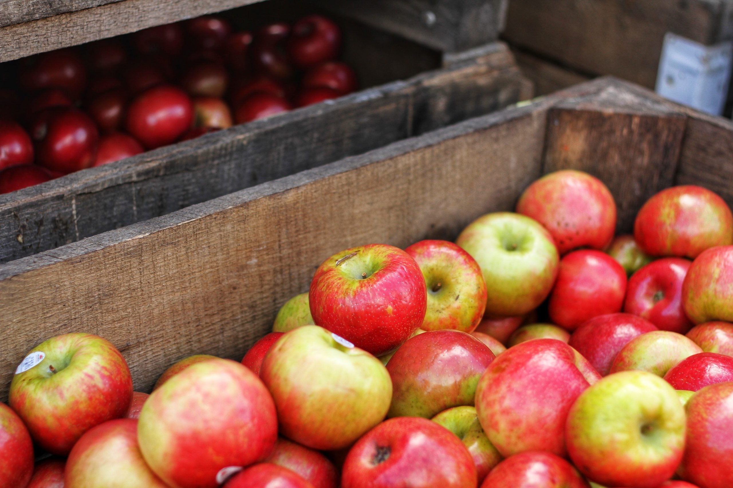 Seasonal Foods And What To Do With Them: October (Updated)