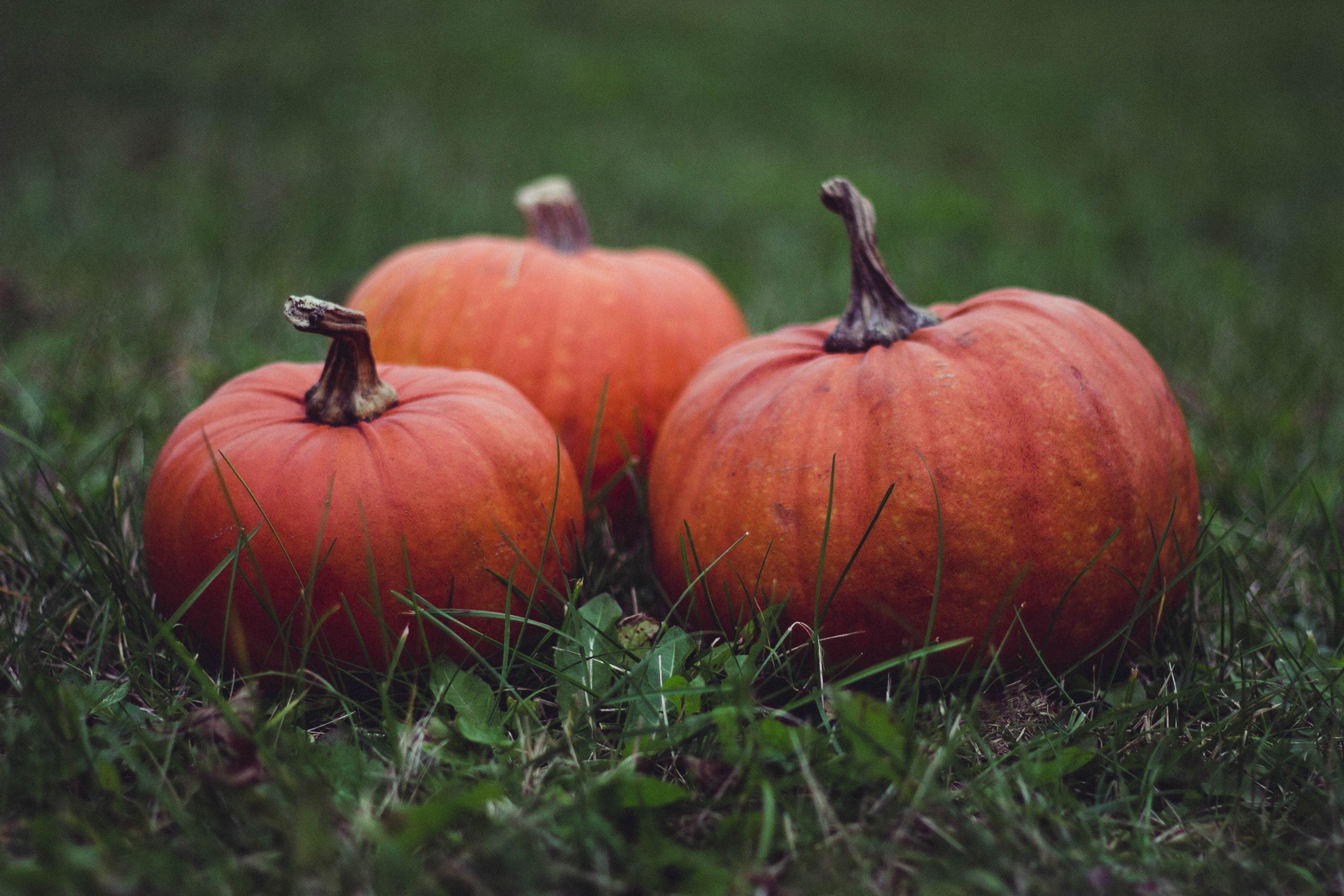 6 Pumpkin Recipes For A Comfy, Cosy Autumn